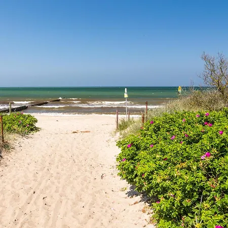 Apartment Schmidt - Strandhaus Direkt Am Mit Sauna, Sport Und Dünengarten Iv